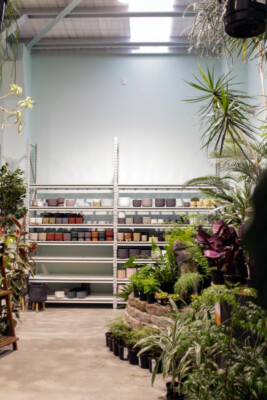 Plant shelving