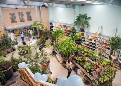 Plant Shop Shelving