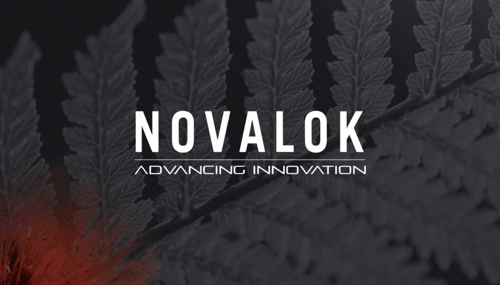 Novalok logo