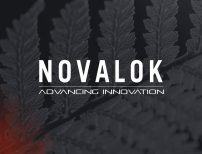 Novalok logo